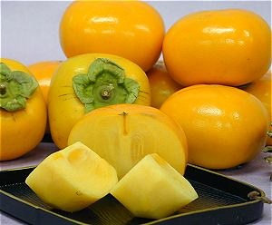 4225