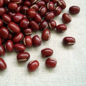 9100
