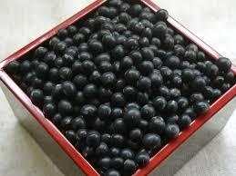 9102